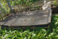 WhatsApp-Image-2023-01-08-at-20.29.43