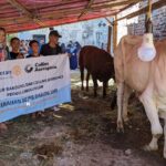 Penyerahan Daging Sapi di Kelurahan Mekar Mulya, Panyileukan, Bandung